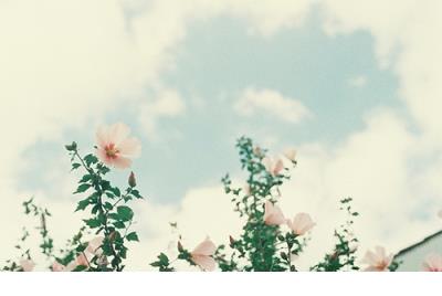 春天的古诗大全114首