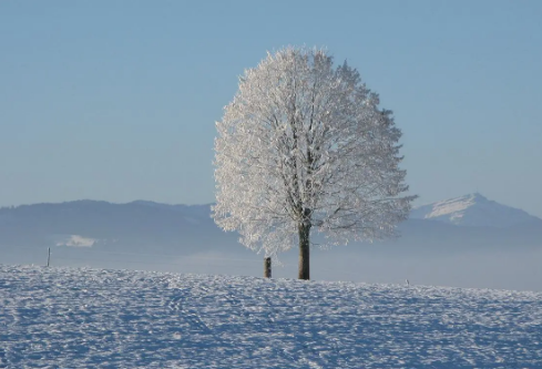 1687341635407424.png image.png