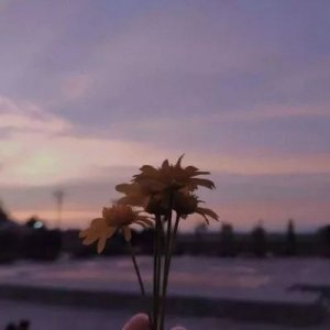 ​温柔到爆的神仙句子