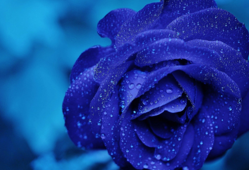 1688639258965288.png image.png