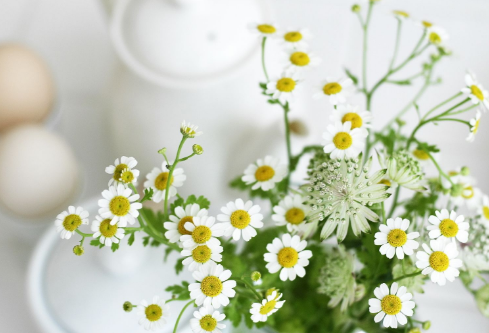 1688665283902075.png image.png