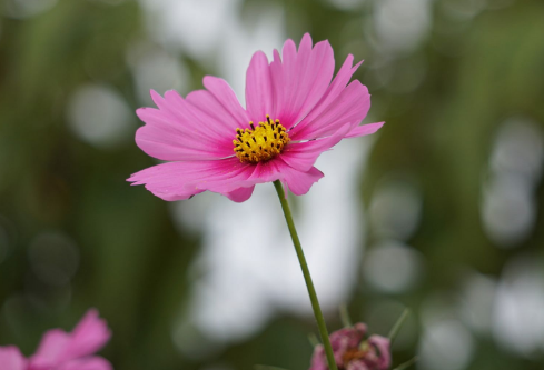 1688664117829781.png image.png