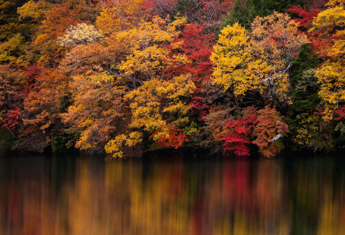 1688629599100780.png image.png