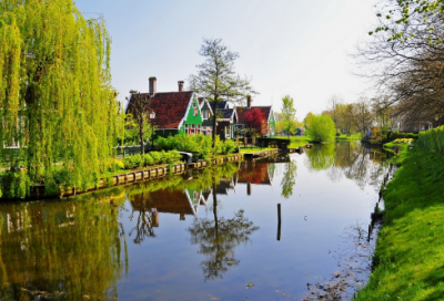 ​保护动植物的宣传语