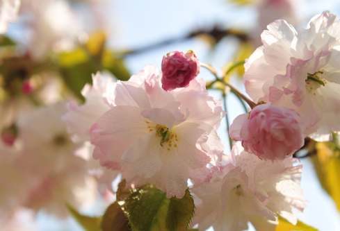 1688681775192782.png image.png