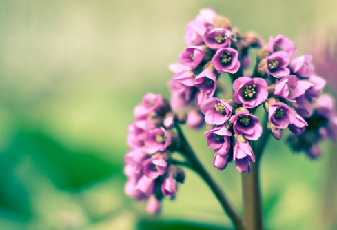 1688690769137542.png image.png