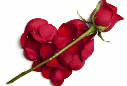 1688688437123492.png image.png