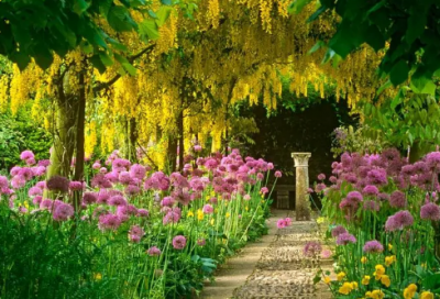 ​关于学习的古诗的有哪些（最经典的10首劝学古诗）