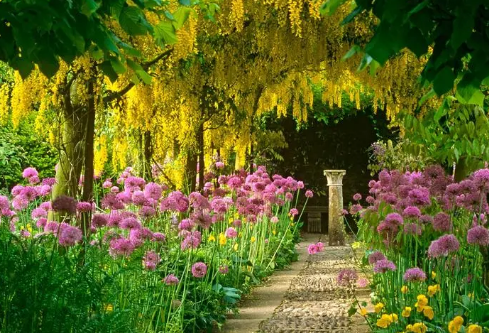 1688699100159647.png image.png