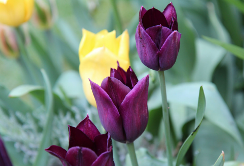 1688664450121986.png image.png