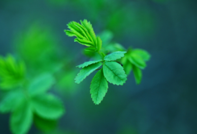 ​冬至节的古诗15首简单（最具有代表性的冬至的古诗）