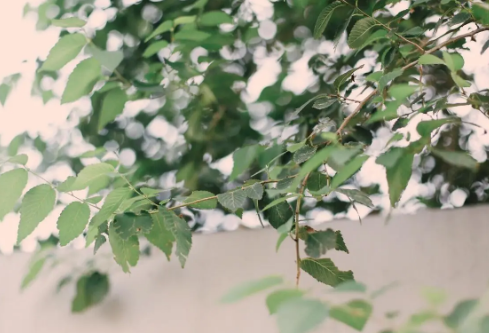 1688748538862399.png image.png