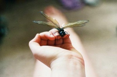 ​有新意的健身口号 健身操口号大全16字