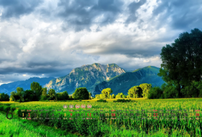 ​淘宝网店宣传语