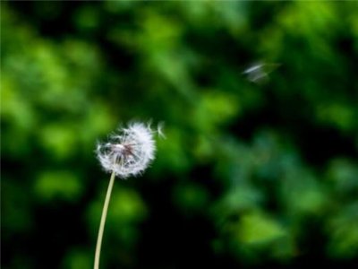 ​提醒勿在教室丢垃圾标语（垃圾压缩站宣传标语）