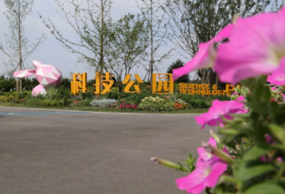 ​青溪王维翻译赏析（清溪行古诗原文及翻译）