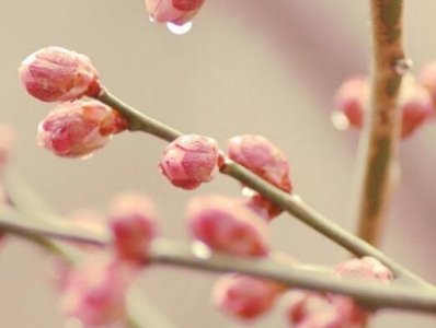 ​健康瑜伽馆广告宣传标语