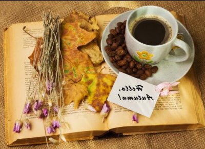 ​有创意的装饰公司标语