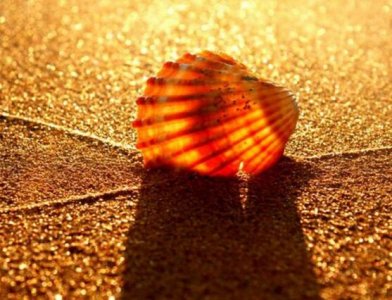 ​防范通讯网络诈骗宣传口号