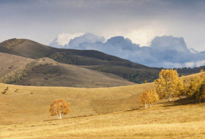 ​推广普通话的宣传语