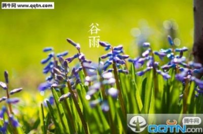 ​关于节约用水的标语（关于低碳生活的宣传标语）