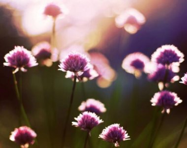 ​礼让斑马线的宣传口号