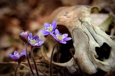 ​朋友圈新年祝福语2024[25句]