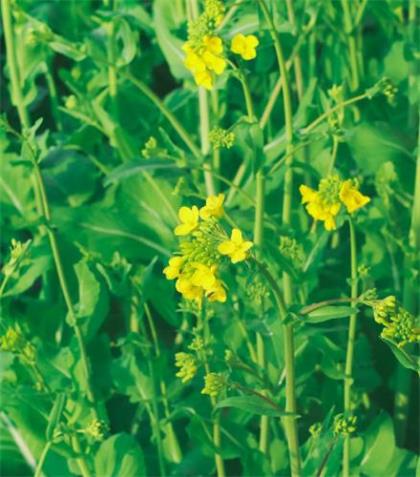 最新的企业办公楼标语大全