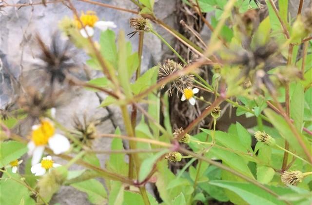 阳光英文名字男孩 阳光英文名字男孩