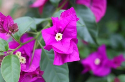 ​适合放在情侣空间的说说