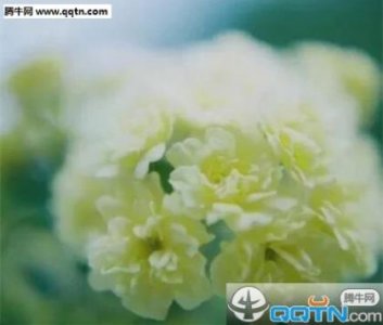 ​小区防火防盗宣传标语(学校消防安全标语大全)