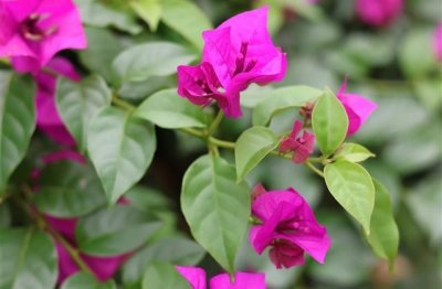 ​总有一天你会明白的说说(26句)