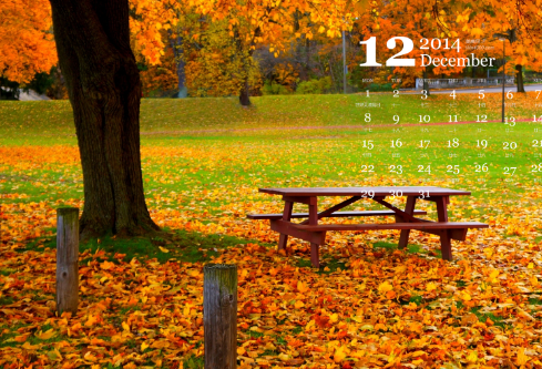 1688700716860033.png image.png