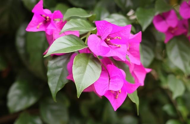 善良的人感悟一句话朋友圈 善良的人感悟一句话朋友圈