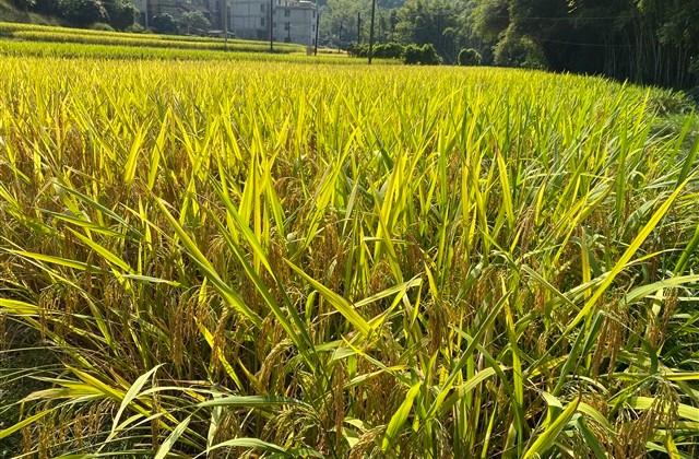 适合发朋友圈高质量文案 适合发朋友圈高质量文案