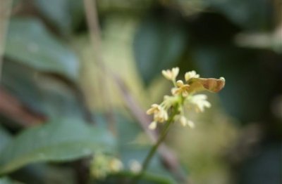 ​留起长发的经典句子