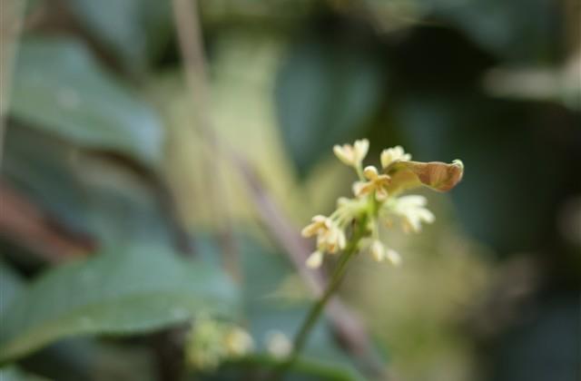 留起长发的经典句子 留起长发的经典句子