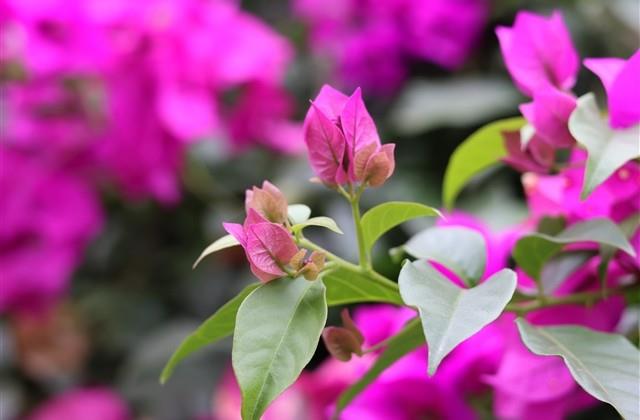 提醒自己珍惜时间的座右铭 提醒自己珍惜时间的座右铭