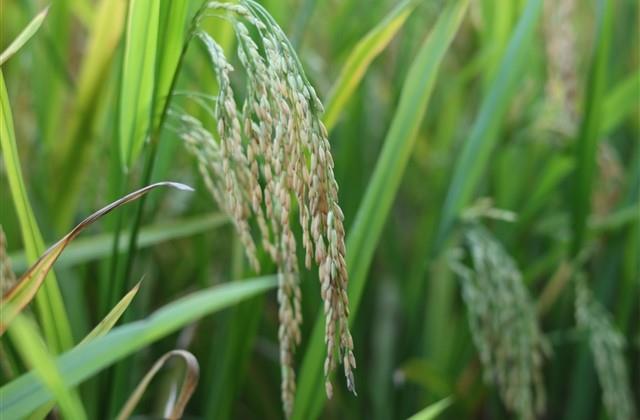 单身男霸气微信昵称