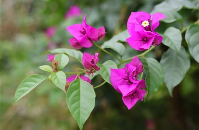 男朋友的备注特别的昵称(193个) 男朋友的备注特别的昵称(193个)