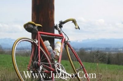 ​食堂自助餐炉温馨标语食堂意见箱温馨标语(精选30句)