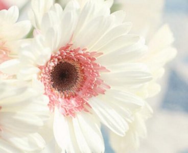 ​销售团队励志名言