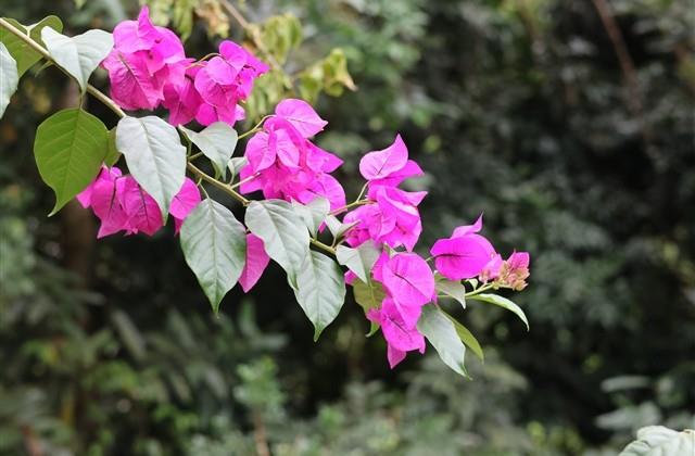 冷门且高级的网名(精选98个) 冷门且高级的网名(精选98个)