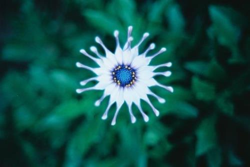 自己的教室名言警句