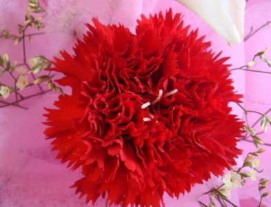 ​关于感恩的名言