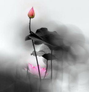 ​名人名言大全摘抄及意思