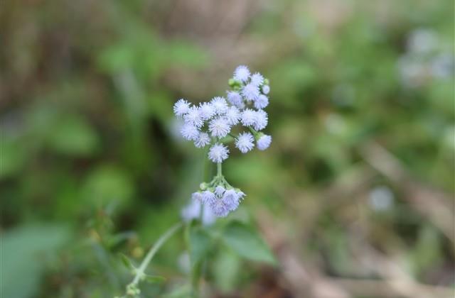霸道犀利的网名(199个) 霸道犀利的网名(199个)