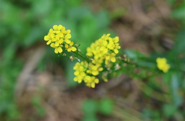 微信浪漫唯美网名(精选200个)