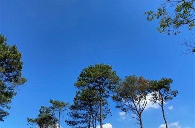 ​无敌的情侣名字