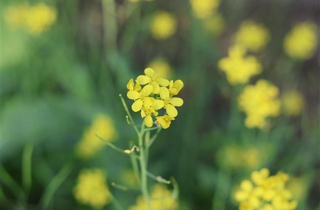 幸福的温度温馨网名 幸福的温度温馨网名